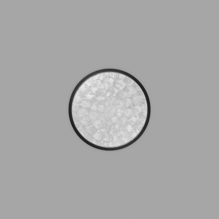 1921-2-55 Shell_1 1000x1000