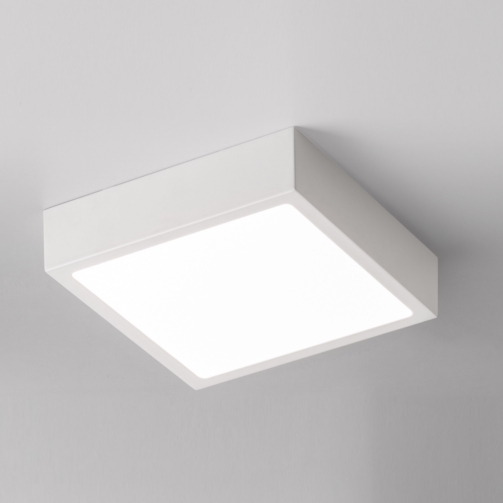 2215-17-8 Venox 1000x1000